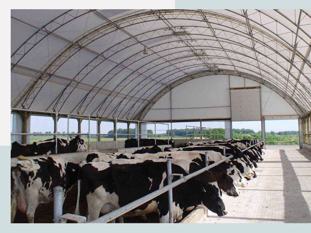 Тентовые коровники в асбесте